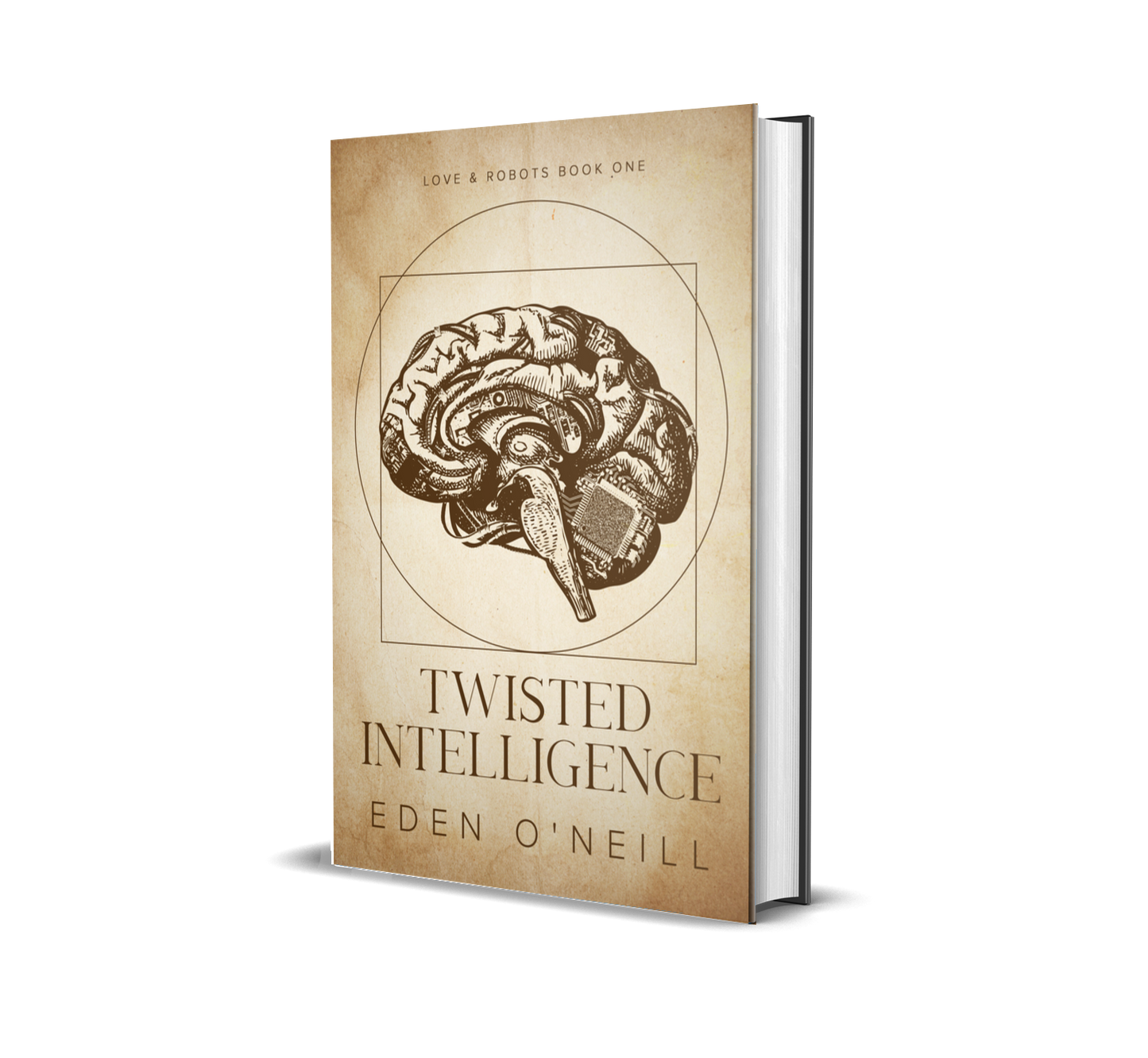 Twisted Intelligence