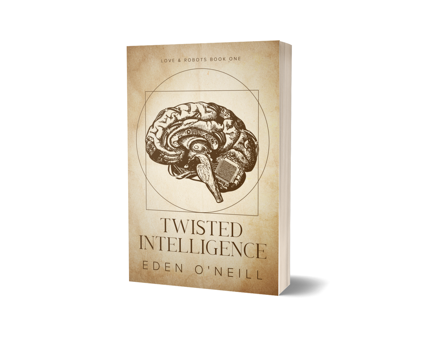 Twisted Intelligence